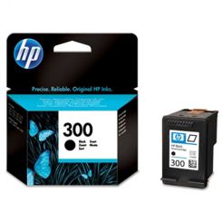 Hewlett Packard 300 
