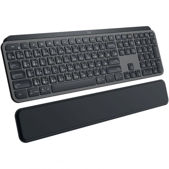 Logitech MX Keys plus MX Palm 