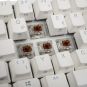 morepic-3