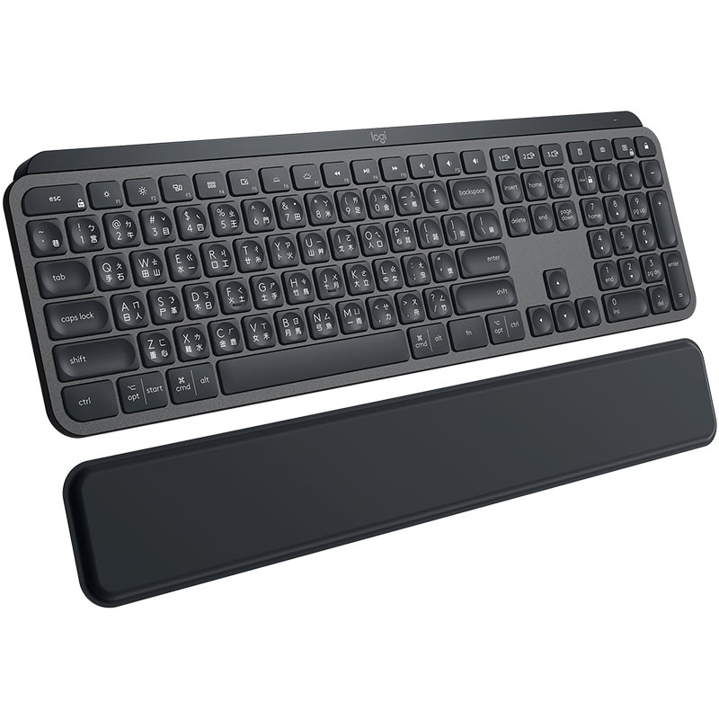 Logitech MX Keys plus MX Palm 